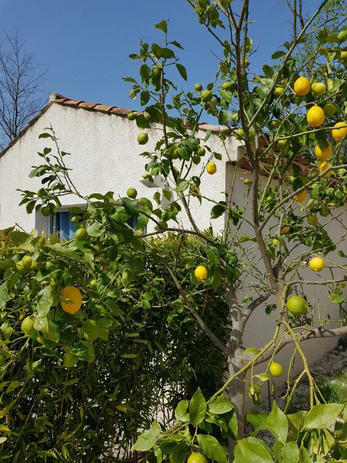 エクス＝アン＝プロヴァンス Le Mas De La Calade Bed & Breakfast エクステリア 写真